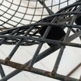 Bird Chair Harry Bertoia for Knoll Black