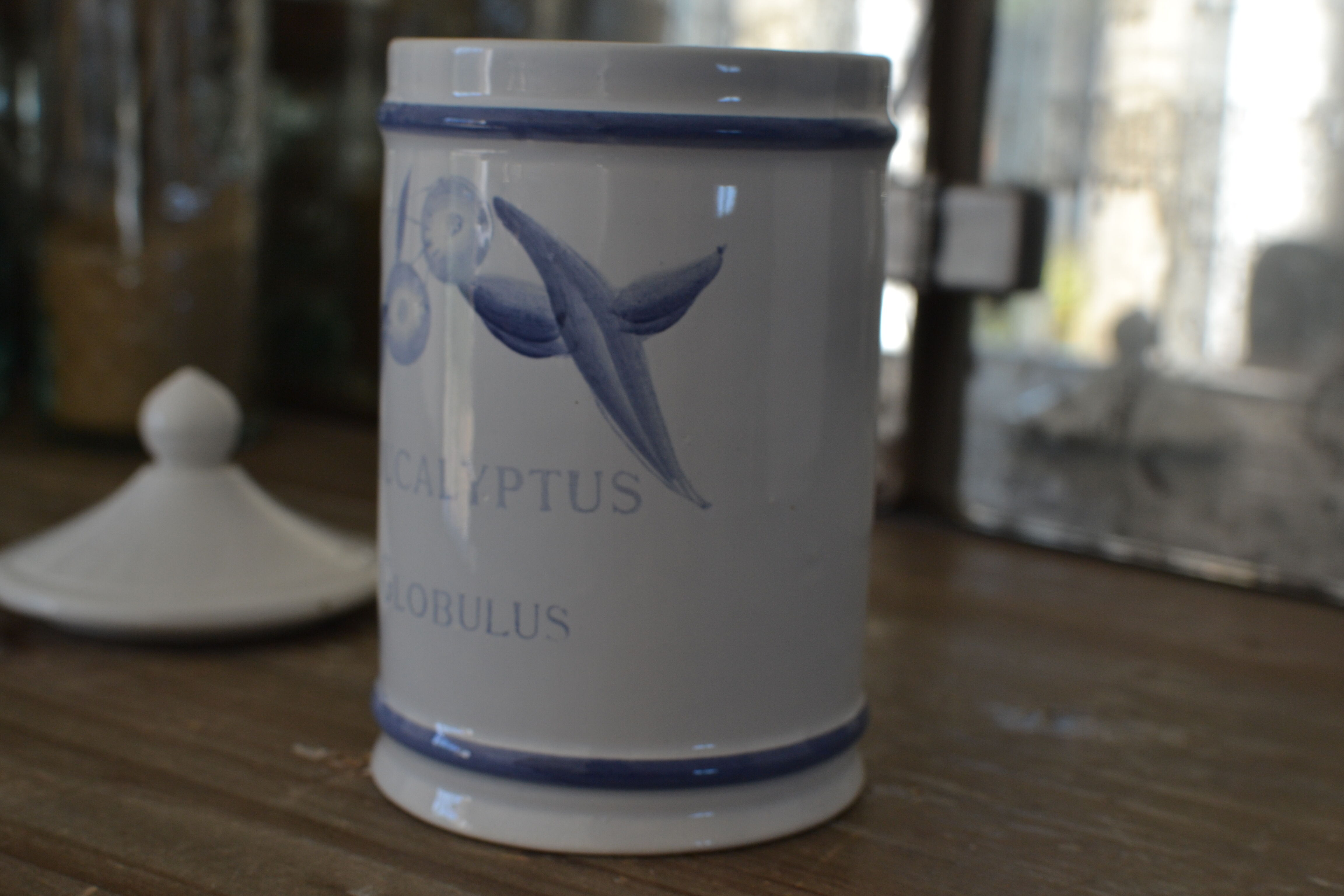 Old pharmacy pot eucalyptus globulus longchamp