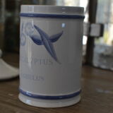 Old pharmacy pot eucalyptus globulus longchamp