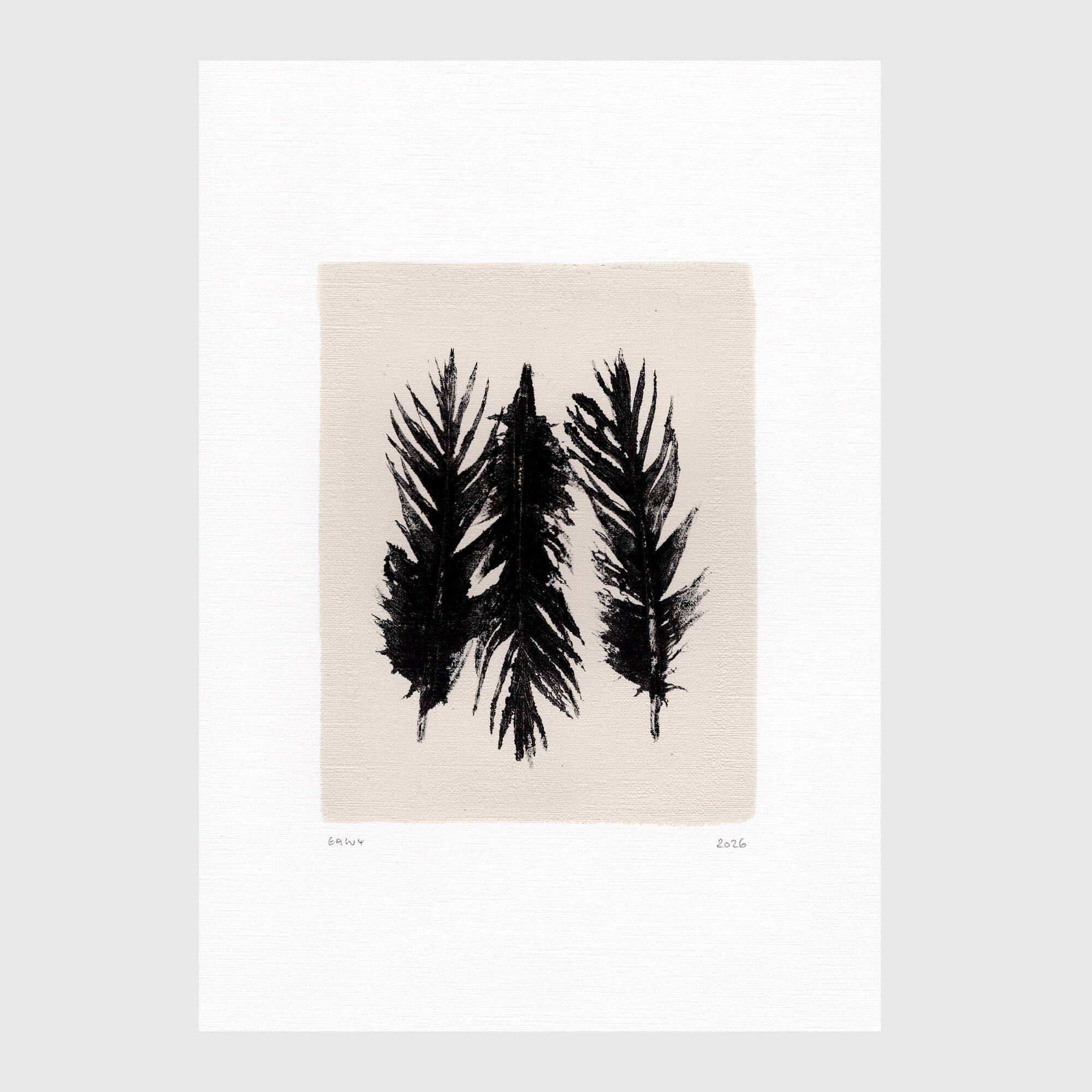 Contemporary painting on paper - black feathers - signed Eawy