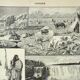 Old engraving 1898, Canada: fauna, flora, tribe • Original and vintage lithograph