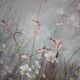 Peinture sur toile fleurs en prairie