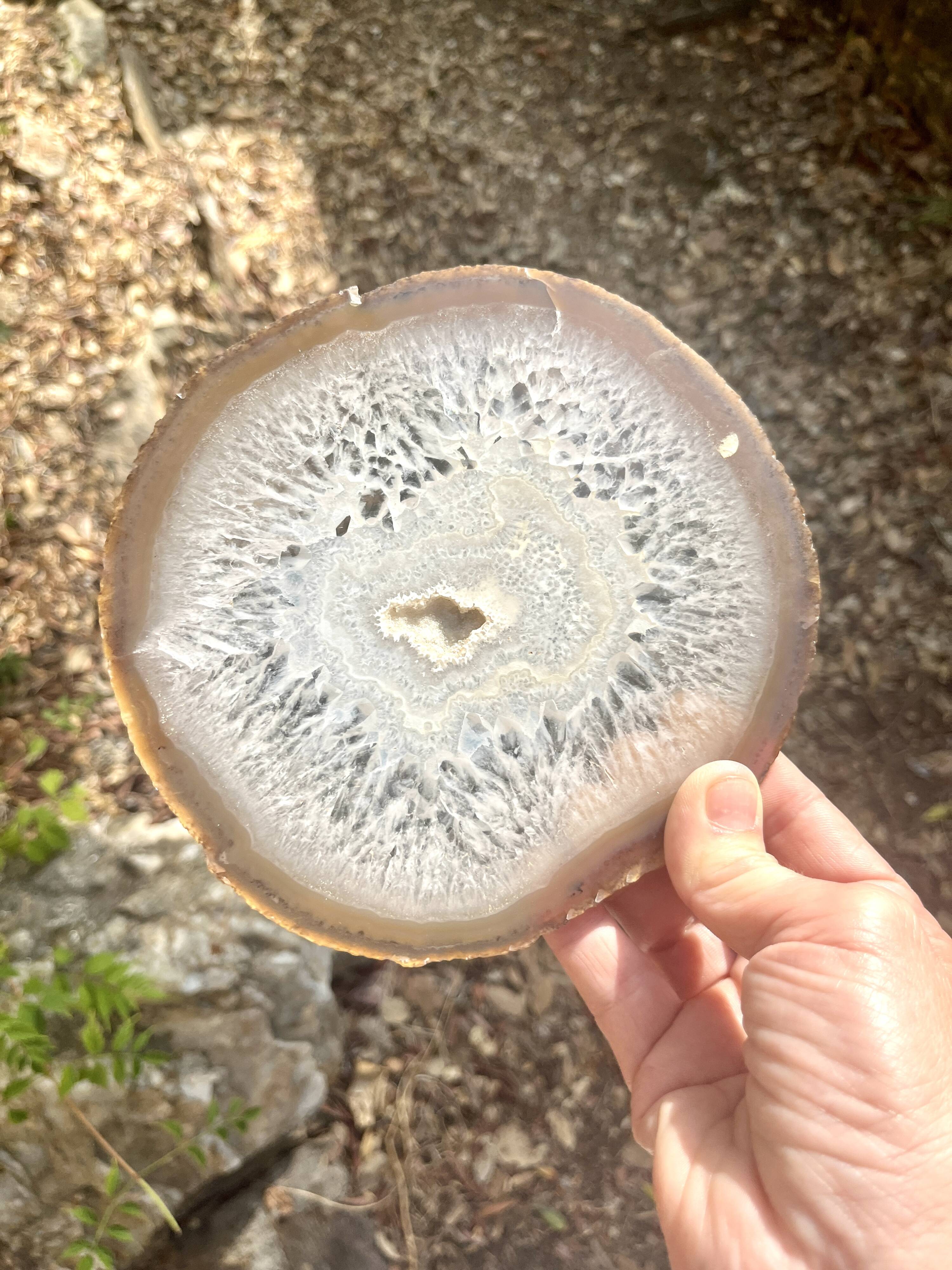 Agate slice on wooden base, 1970s, cabinet of curiosities
