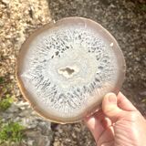 Agate slice on wooden base, 1970s, cabinet of curiosities