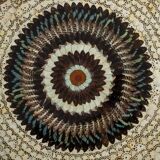 collage in XXL butterfly wings