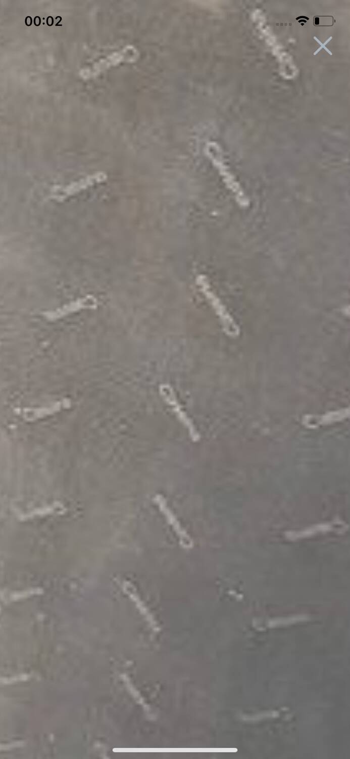 Cassina Privé 231 Lounge by Philippe Stark Luxury Black Leather Sofa