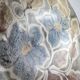 Plate "flower" old mill Perot ceramic Vallauris