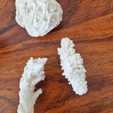 Lot of 5 corals