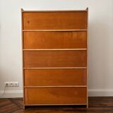 Vintage library