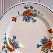 Set of 5 plates from Salins les Bains model "Poppies" in good condition.