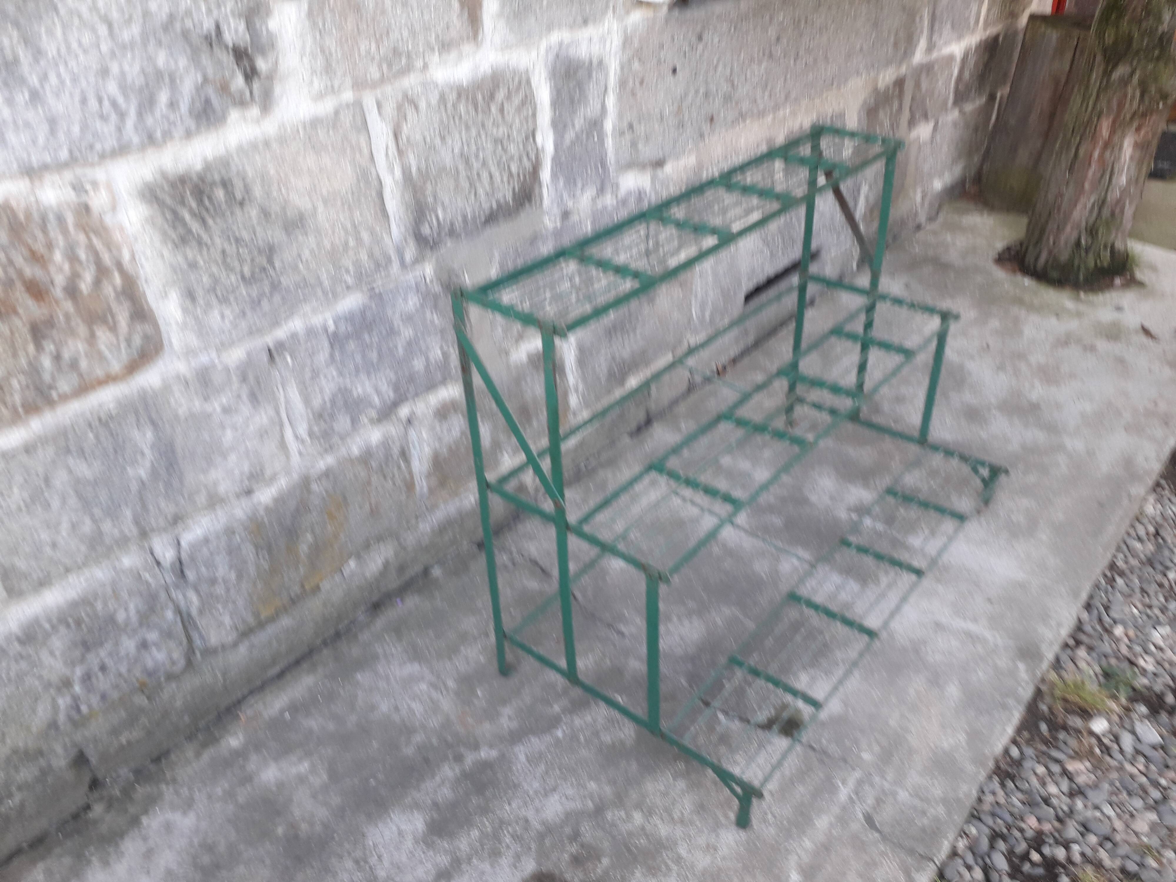 Shelf wear old plants