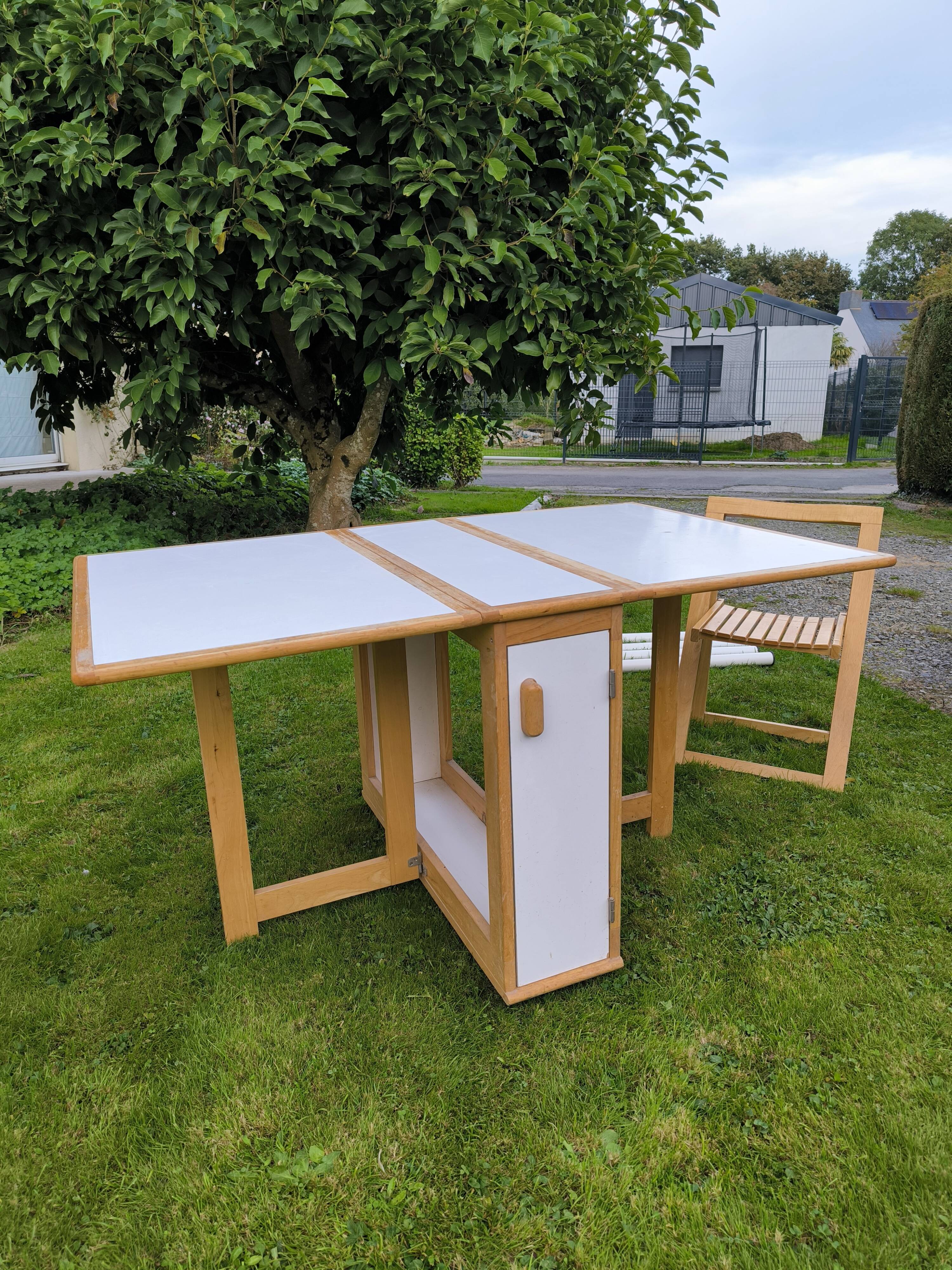 Set of 4 Aldo Jacober style chairs and butterfly table