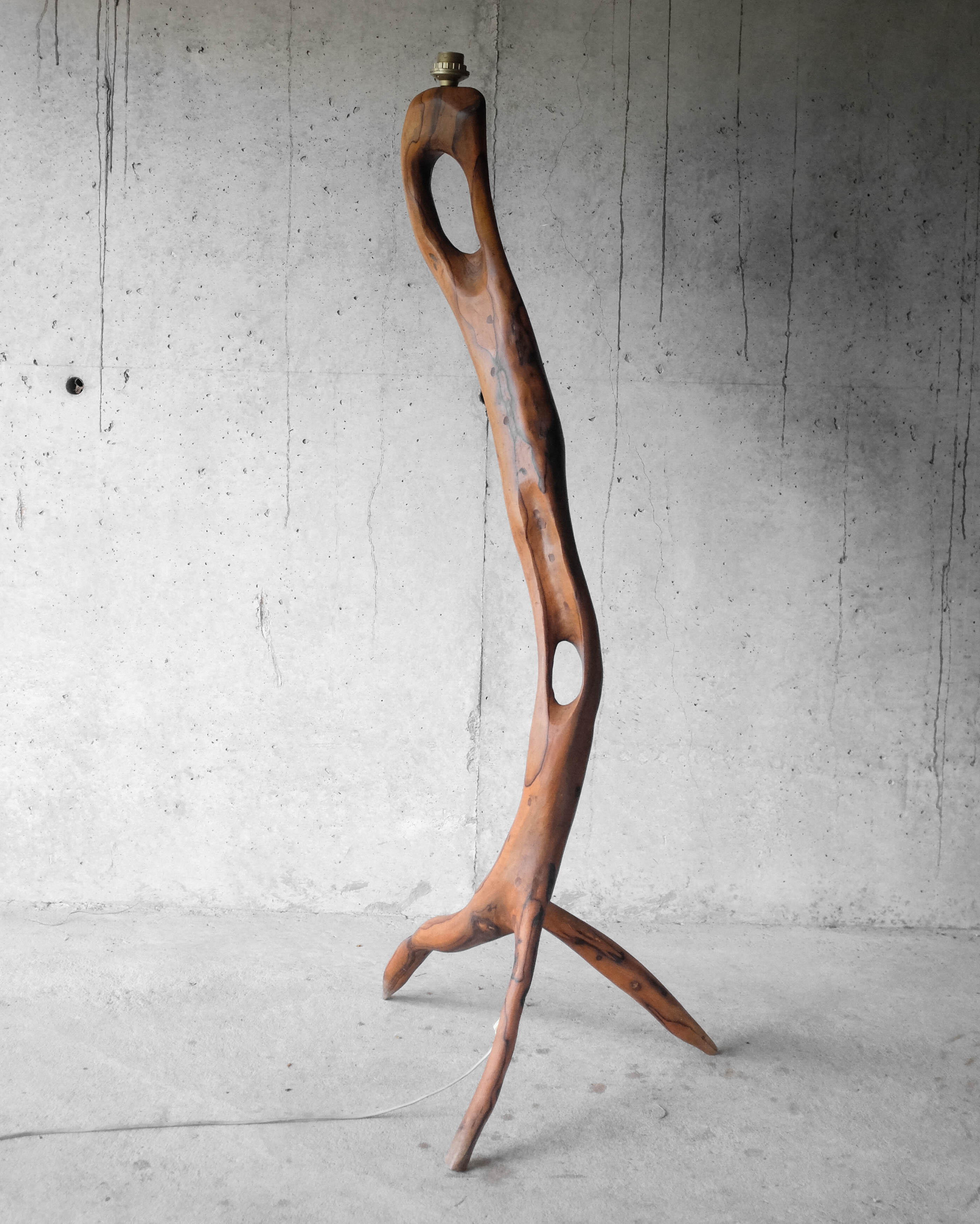 Massive olive tree lamppost - 1960