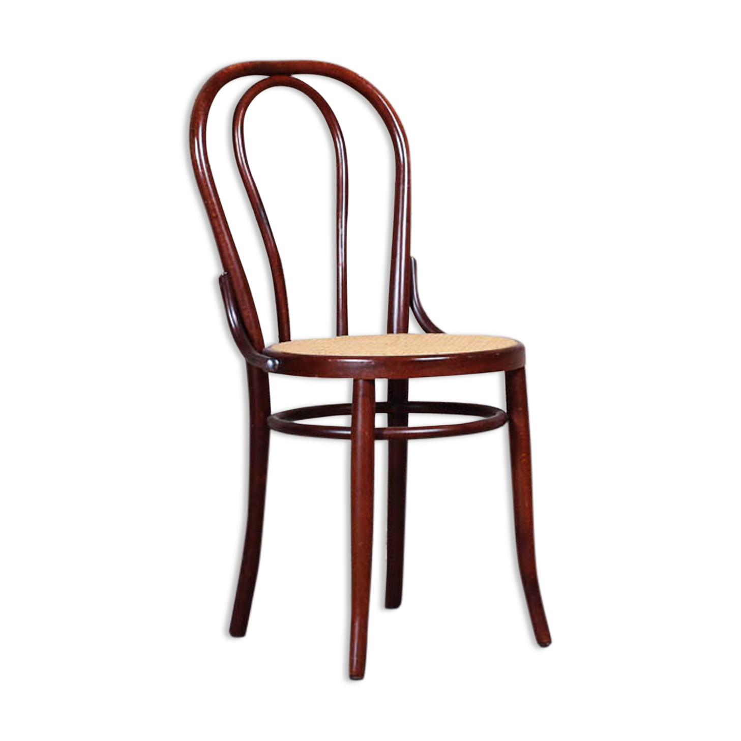 Curved wooden chair and tuna-