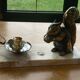 Vintage squirrel table lamp 1950