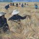 Tableau HSP "Paysage de moisson du Vietnam" signé ManoJ 1984