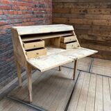 Secretary, late 19th century