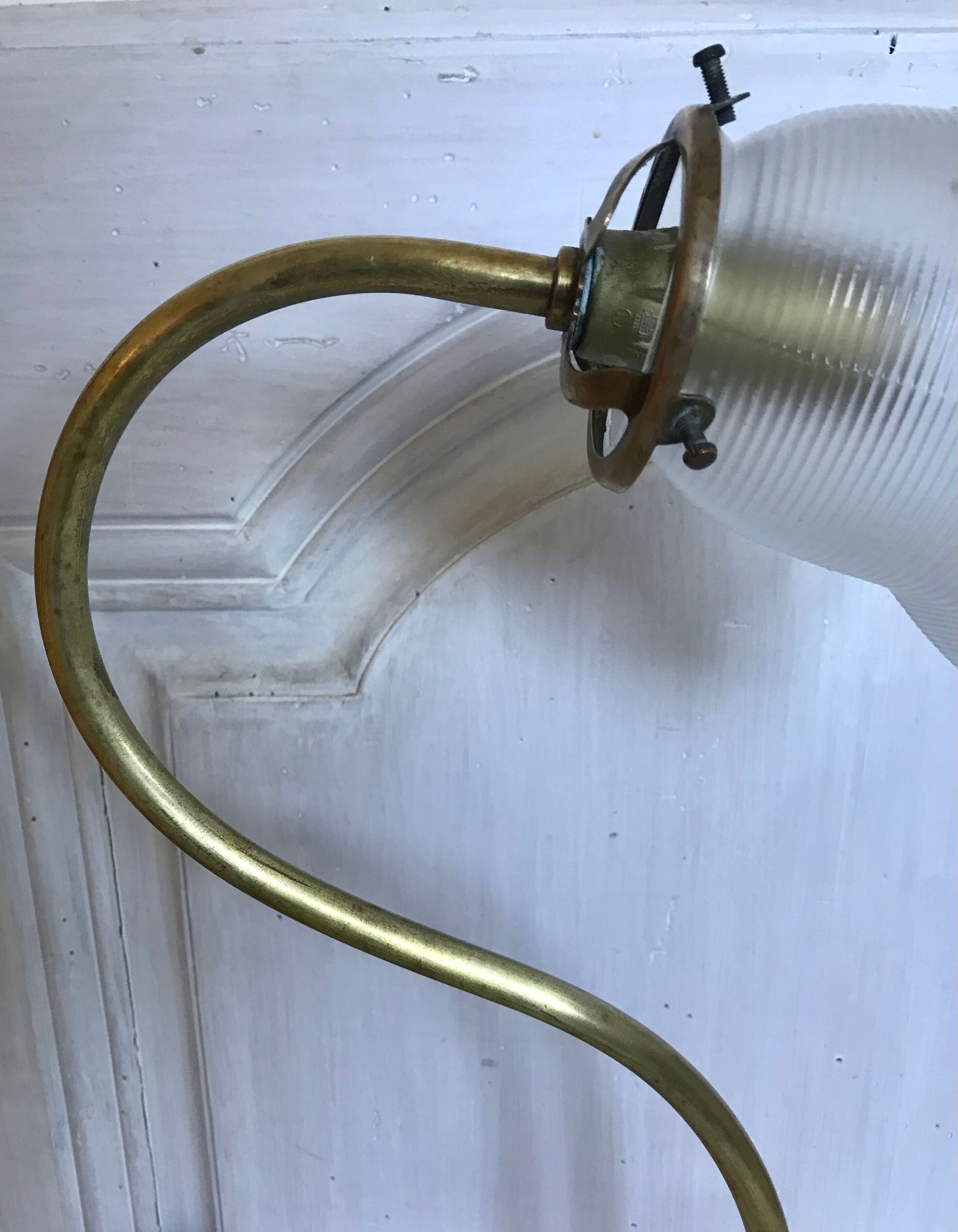 Brass gooseneck lamp