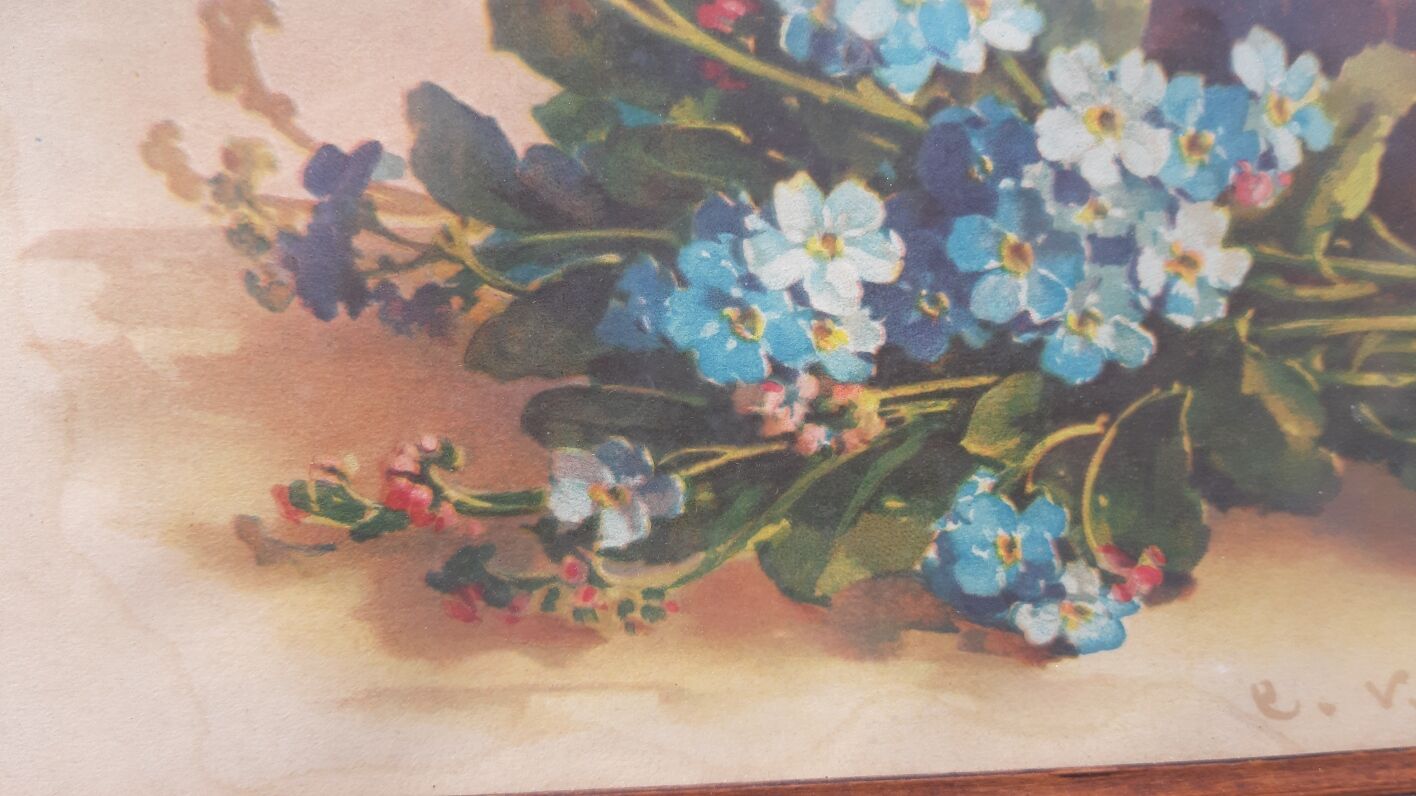 Myosotis flower painting