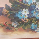 Myosotis flower painting