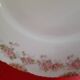 9 plates limoges haviland, years 1230