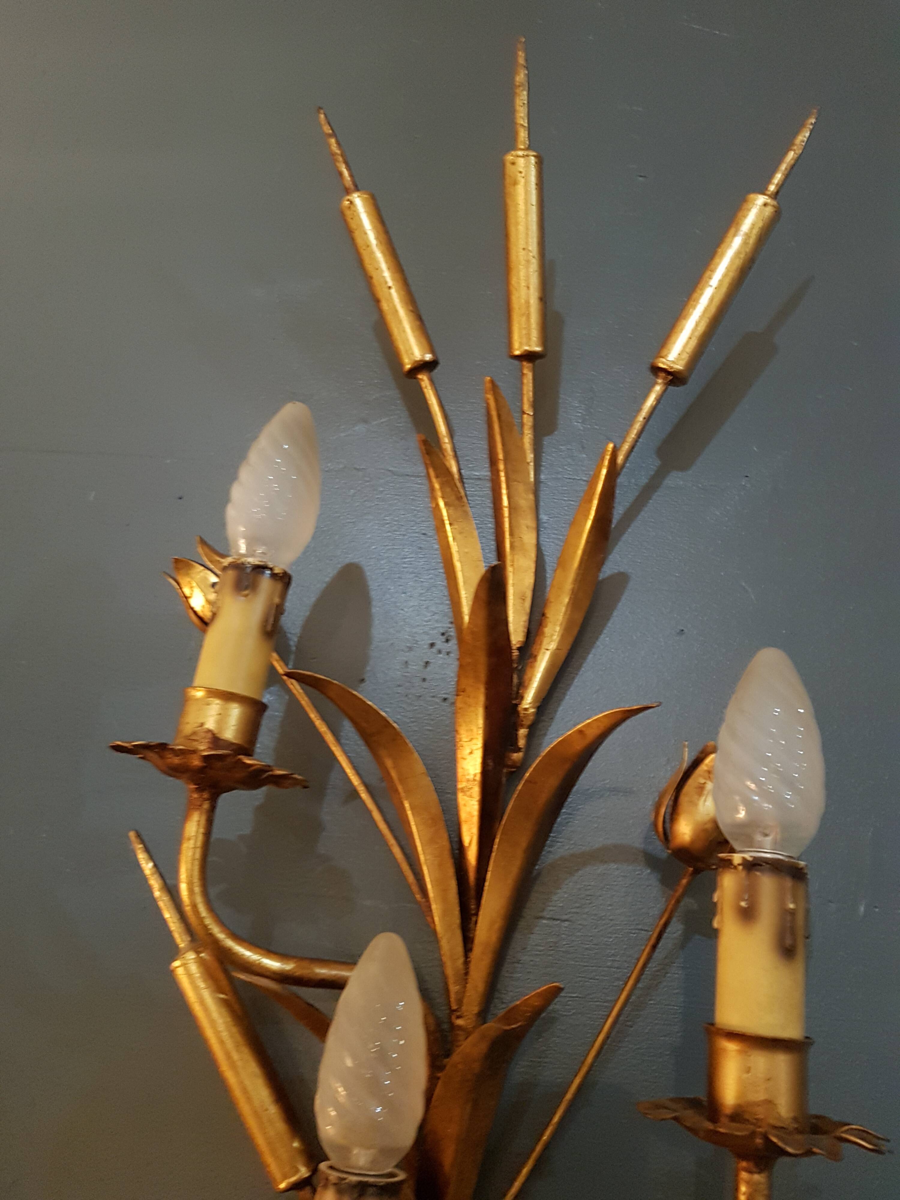 Applique roseau