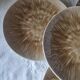 Set of 4 mushroom-style glazed ceramic plates