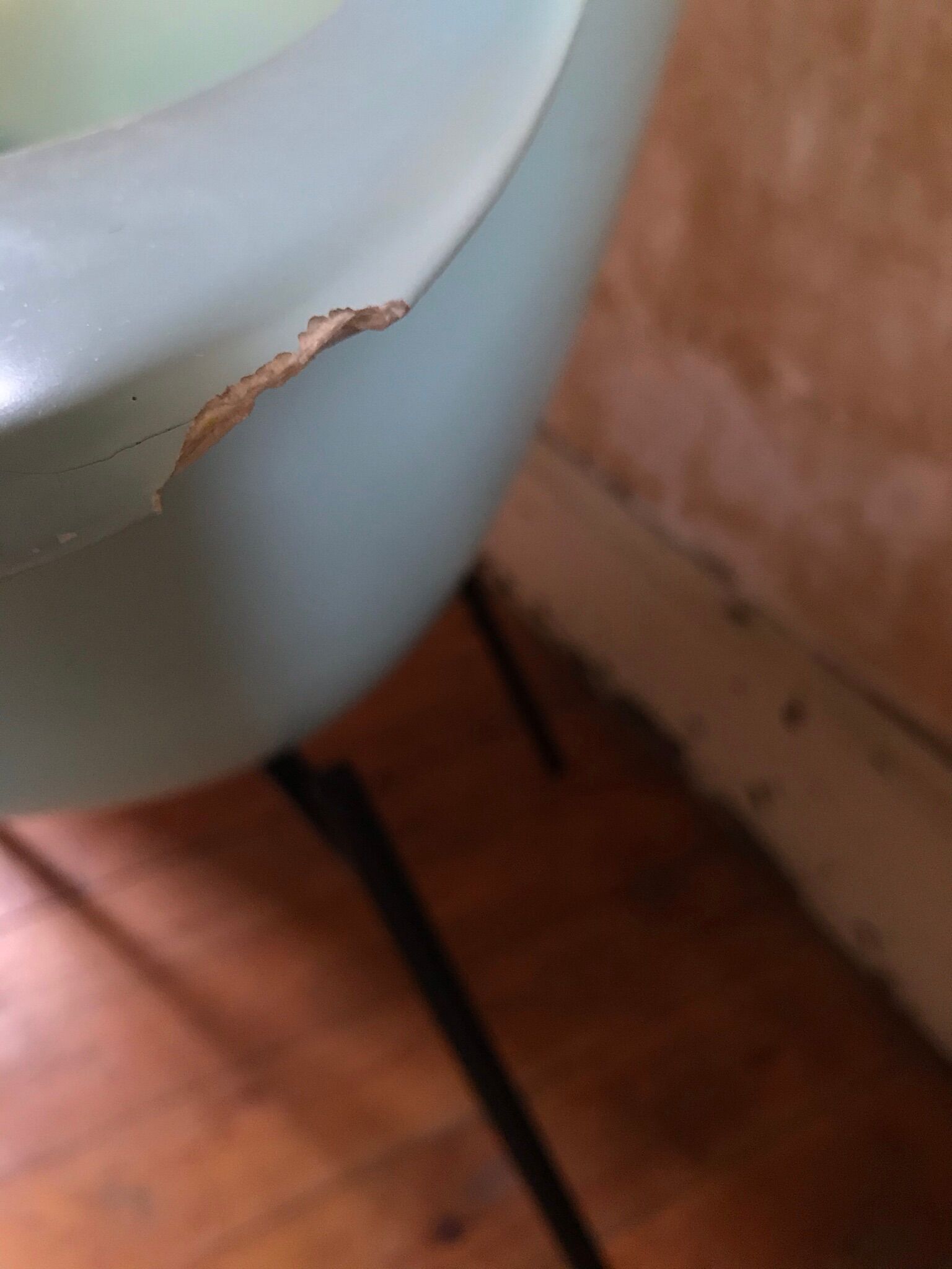 Pierre Guariche's Vampire 4 chair, edition "Maison du Monde"