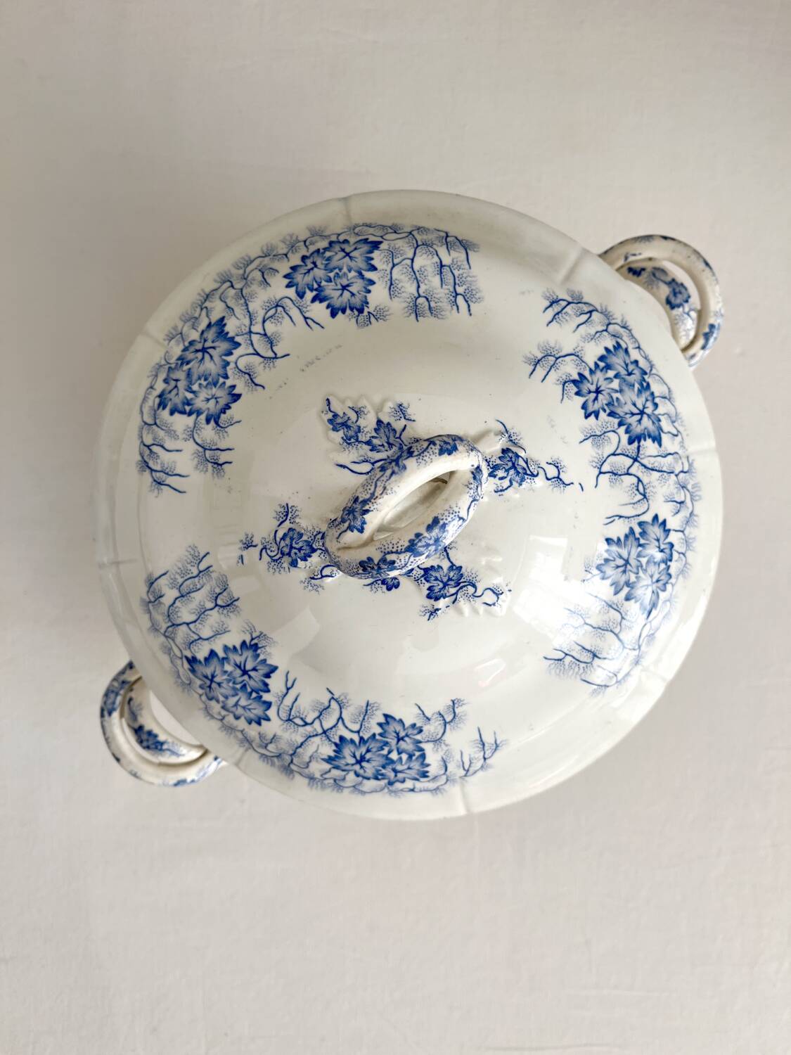 Antique ironstone tureen “Flora Lichen” Creil and Montereau