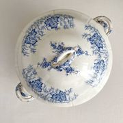 Antique ironstone tureen “Flora Lichen” Creil and Montereau