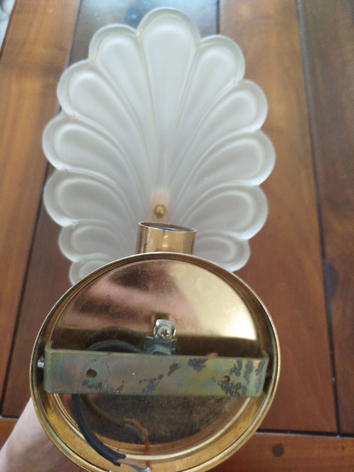 Pair of wall lights with frosted glass and brass shell design.