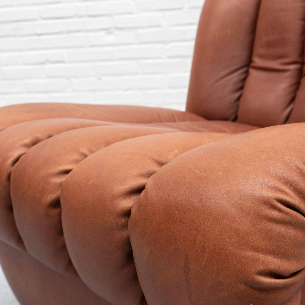 Fauteuil De Sede DS-85