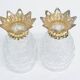 Glass pineapple salt & pepper shakers