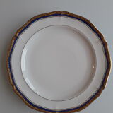 Set of 21 porcelain plates from Limoges UNIC - Decoration with golden twigs