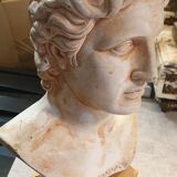 Mythological bust patinated plaster