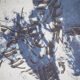 Jean-Paul Riopelle: Canada, By My Lake, Heliogravure