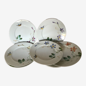 8 porcelain plates 21cm