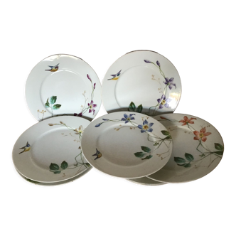 8 porcelain plates 21cm