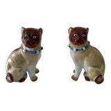 Pair of porcelain pugs Pug dog XIX Germany Saxony Meissen ?