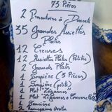 Magnifique ancien service semi porcelaine anglaise Ridgways modèle rose