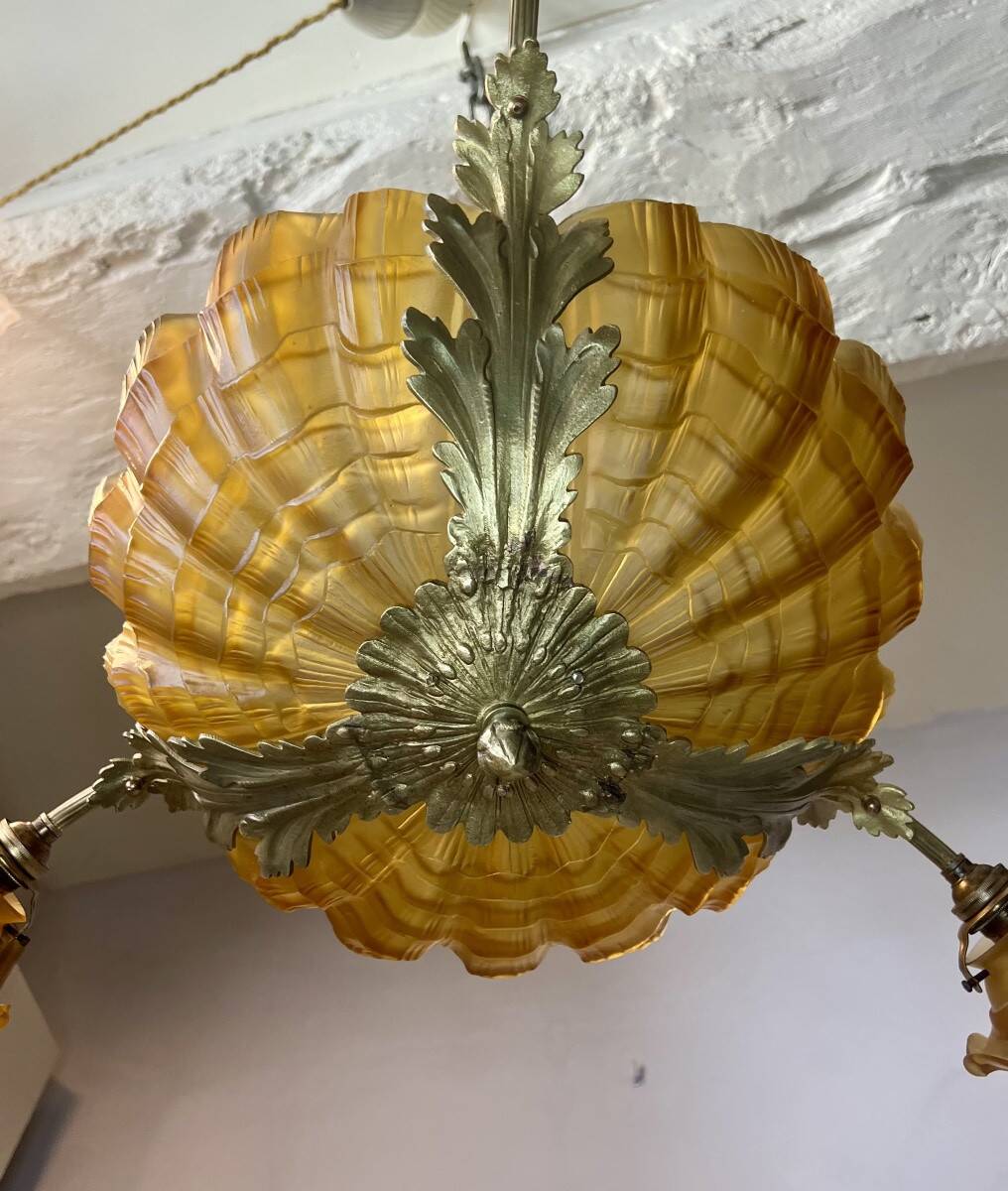 Shell lustre