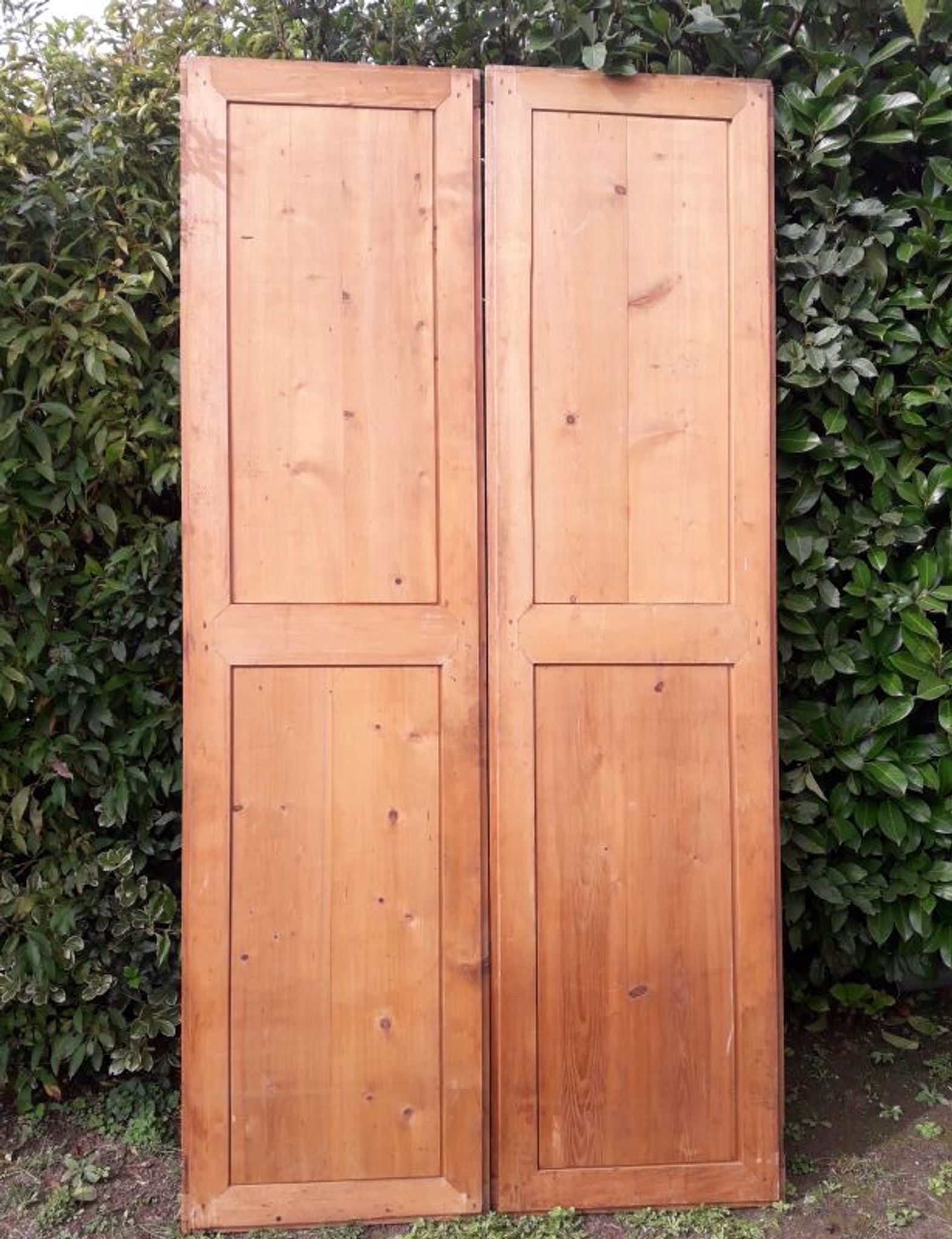 Paire de portes 248x129cm anciennes