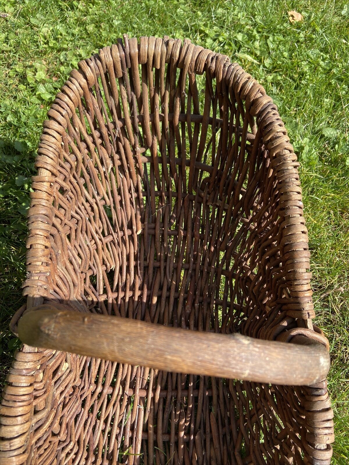 Basket with wicker handle picking vegetable garden mushrooms