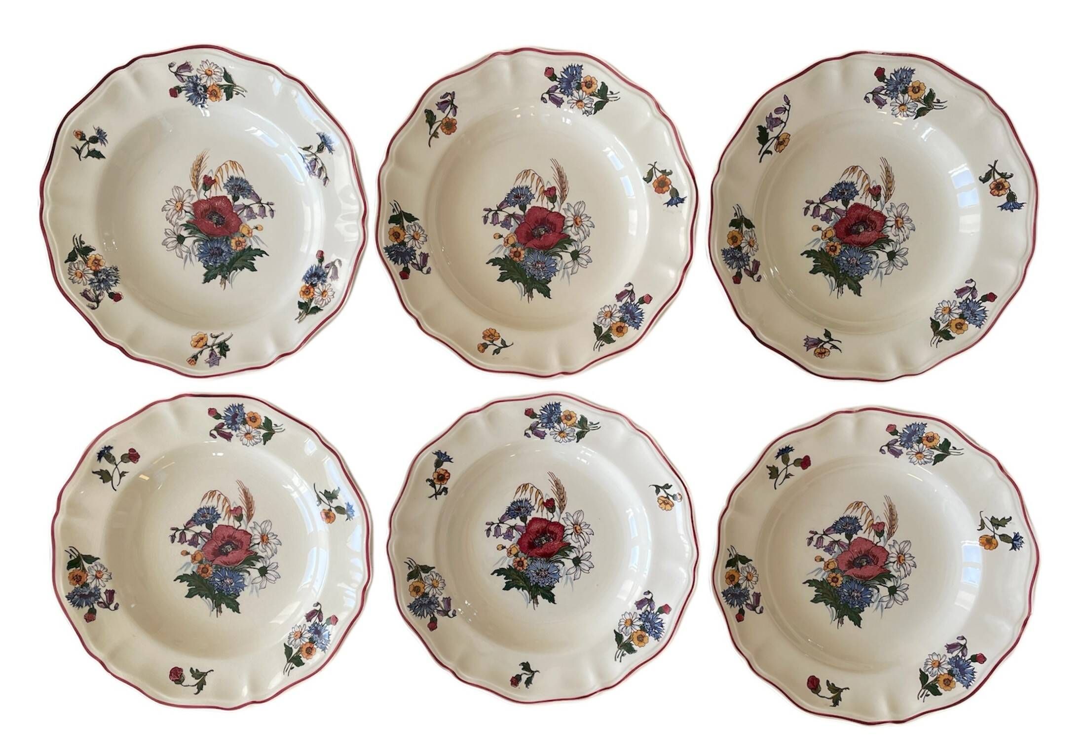 6 large antique deep plates in Sarreguemines earthenware