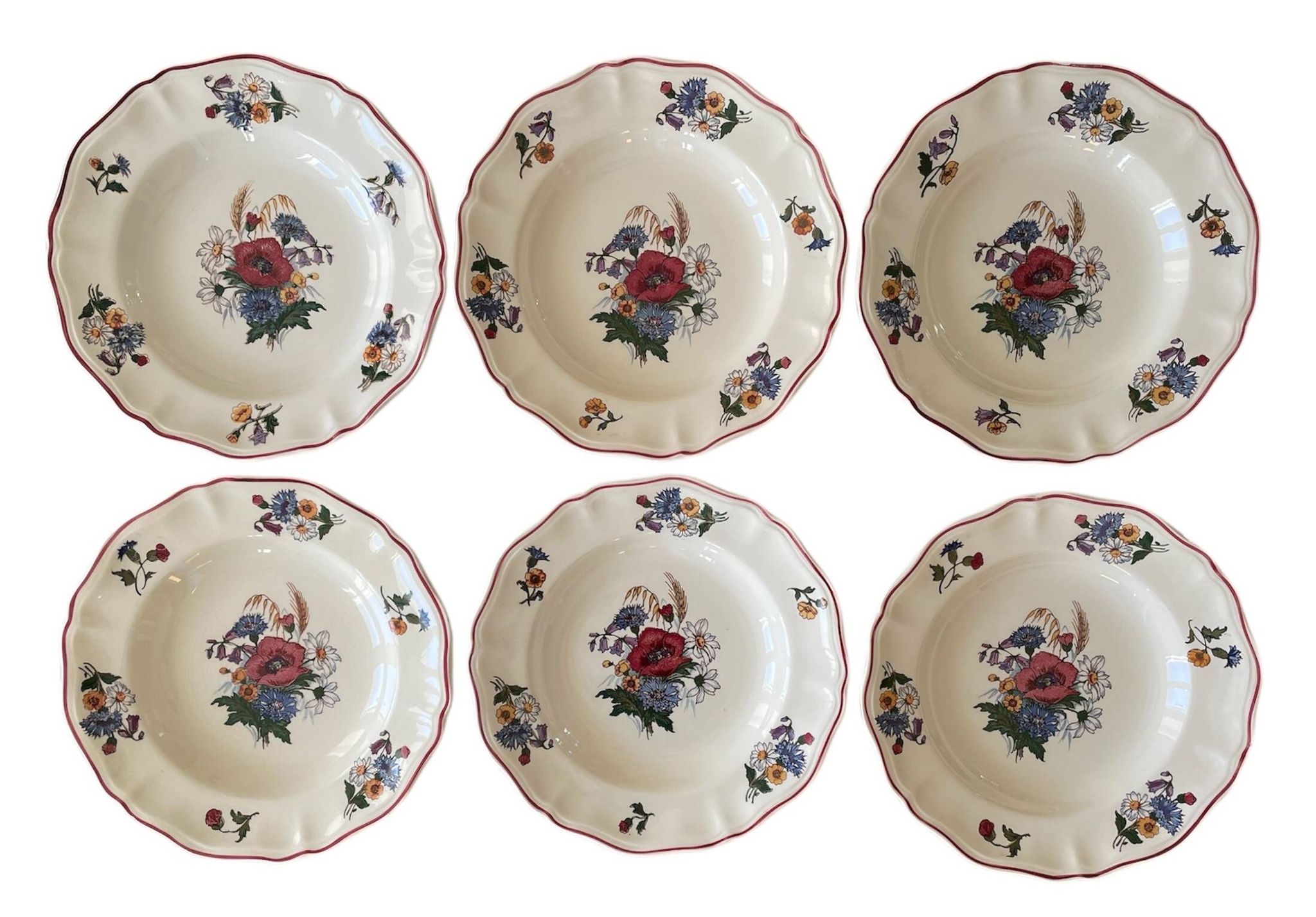 6  grandes assiettes creuses anciennes en faïence de Sarreguemines