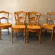 6 old chairs in cherry tree