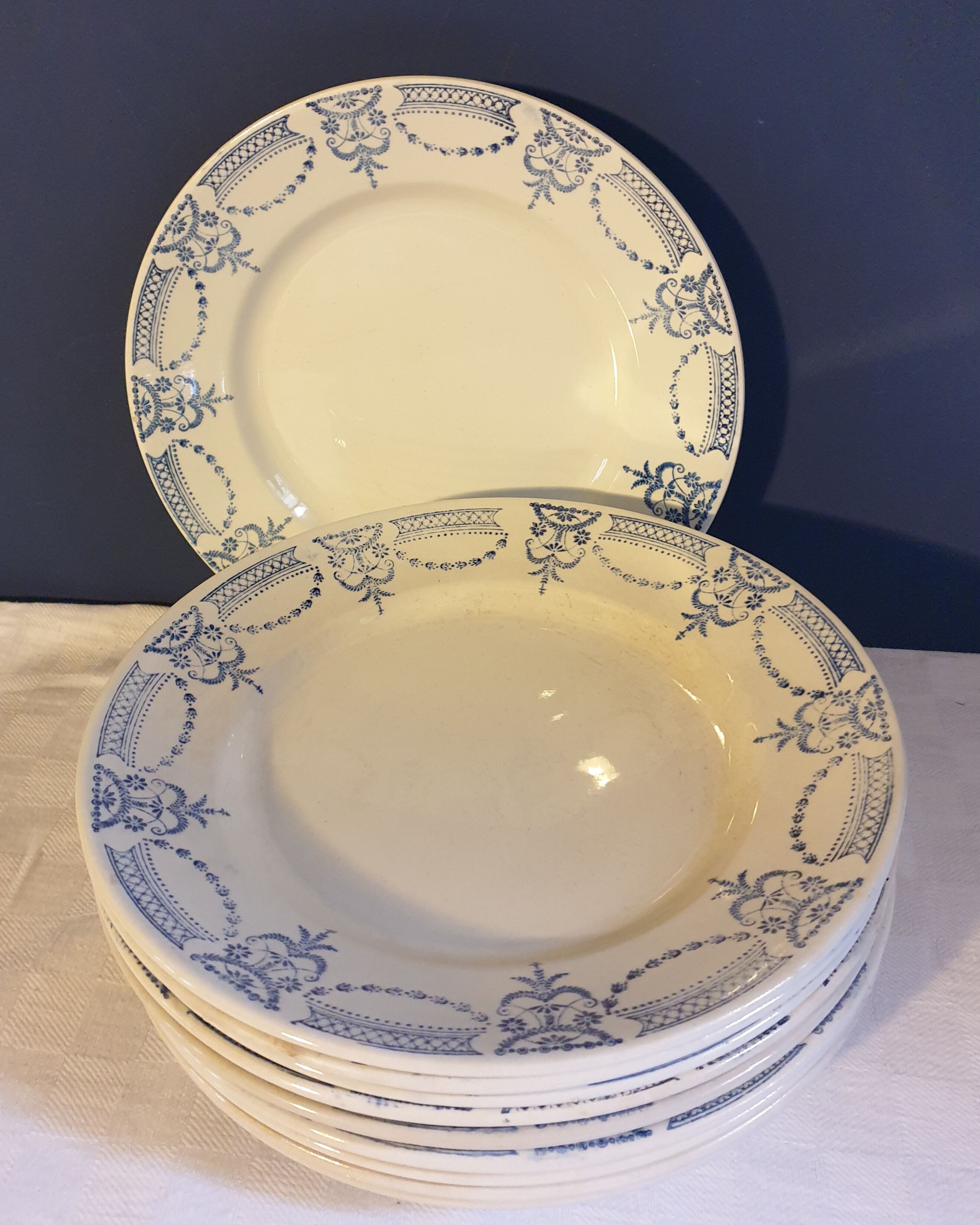 Suite of 11 flat plates iron earth