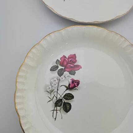 6 assiettes plates en porcelaine Digoin Sarreguemines - Modèle Sévigné