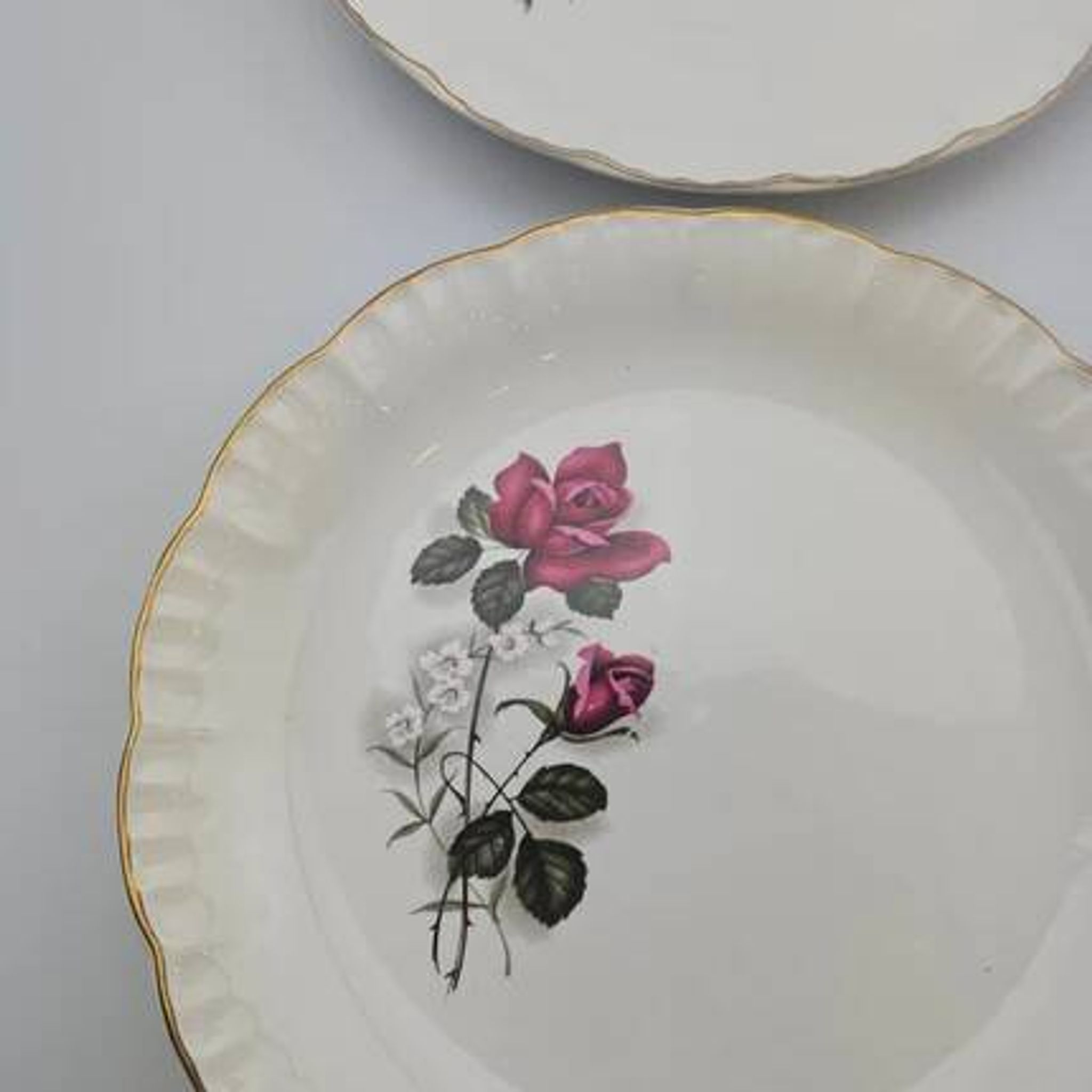 6 assiettes plates en porcelaine Digoin Sarreguemines - Modèle Sévigné