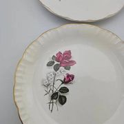 6 assiettes plates en porcelaine Digoin Sarreguemines - Modèle Sévigné